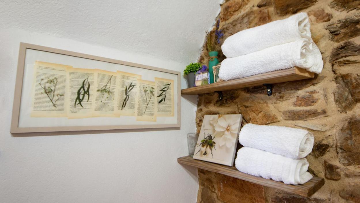 Apartamento Duplex Rural Con Chimenea Y Vistas Panoramicas Desde La Cama Sant Marti Sacalm Eksteriør bilde